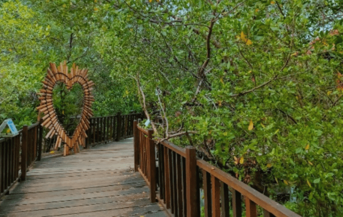 Kebun raya mangrove surabaya