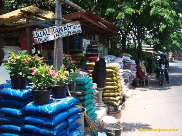 Surabaya flower market