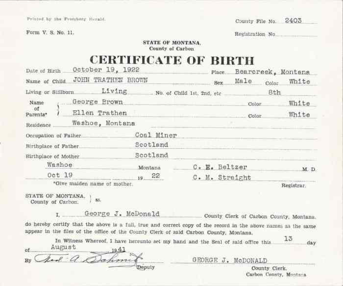 Birth certificate template sample word examples share