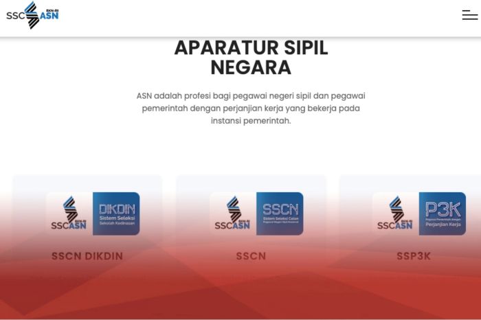 Cara cek slip gaji ASN melalui aplikasi SIAKN BKN