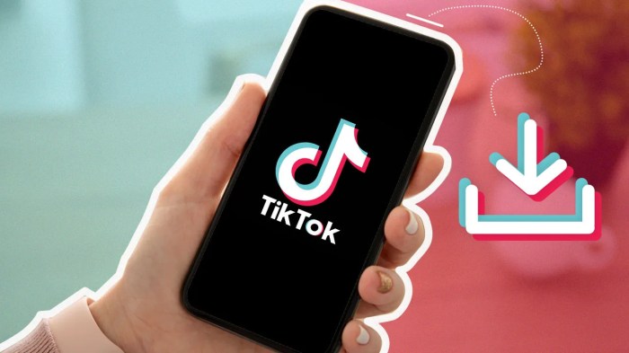 Pengunduh video tiktok tanpa tanda air