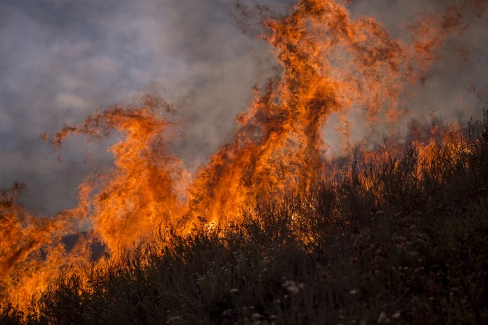 Fire wildfire smoke heat california angeles los land wildfires history worst ever battling biggest its impacting acres million season right